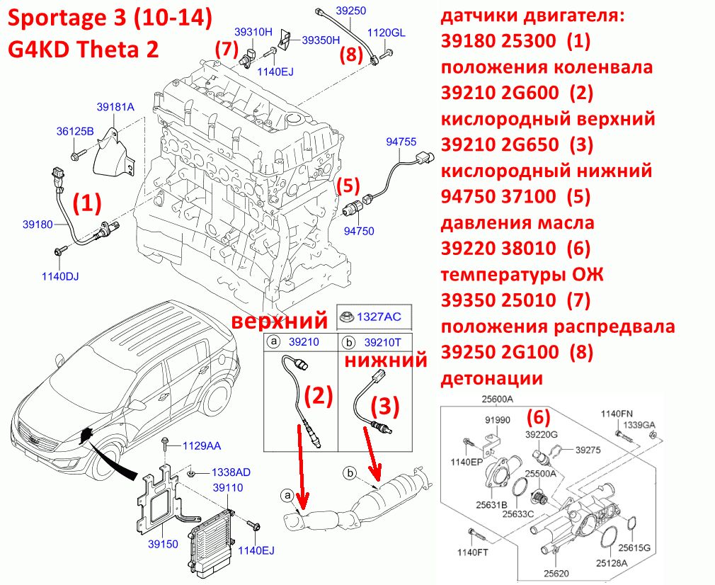 3918025300, 3918025200 Датчик положения коленвала V2.0 G4KD. G4KE Sportage 3=Cerato 2=Optima 3=Sorento 2,3=iX35=Santa Fe 2,3=Sonata - 7