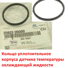Кольцо уплотнительное корпуса датчика температуры охл.жидкости KIA Rio 3,4 /Ceed /Cerato /Soul /Hyundai Solaris /Elantra /i-20 /i-30 /Creta и др. оригинал 256232B000