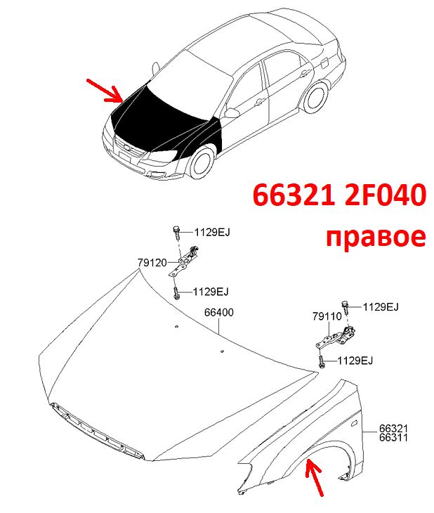 663212F040 неоригинал Крыло переднее правое KIA Cerato 1 (04-08) LD с вырезом под повторитель и отверстием под молдинг - Типовое фото 7